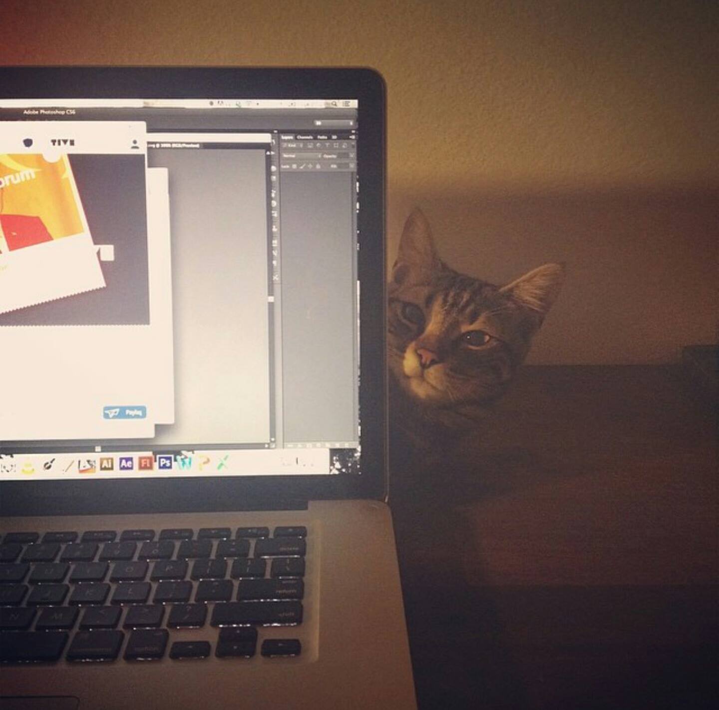 yüksek lisans başvuru rehberi