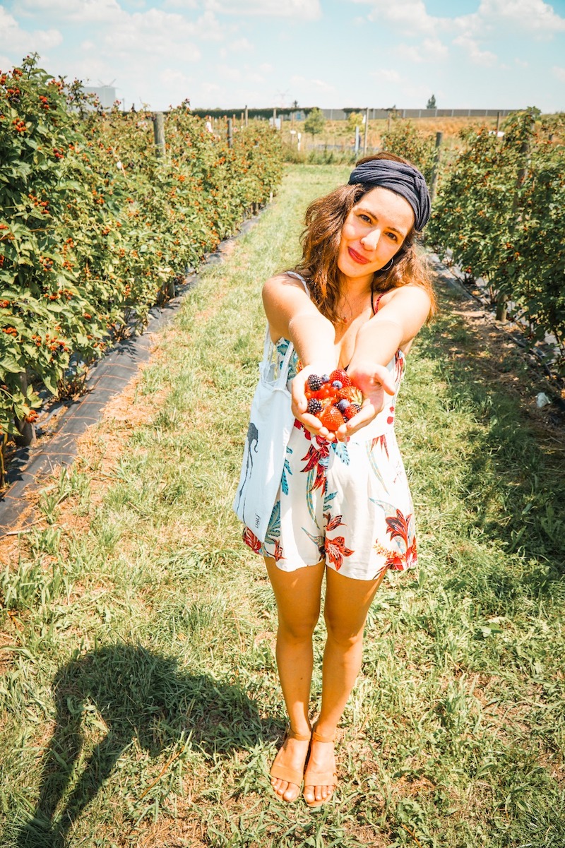 Münih Gezilecek Yerler