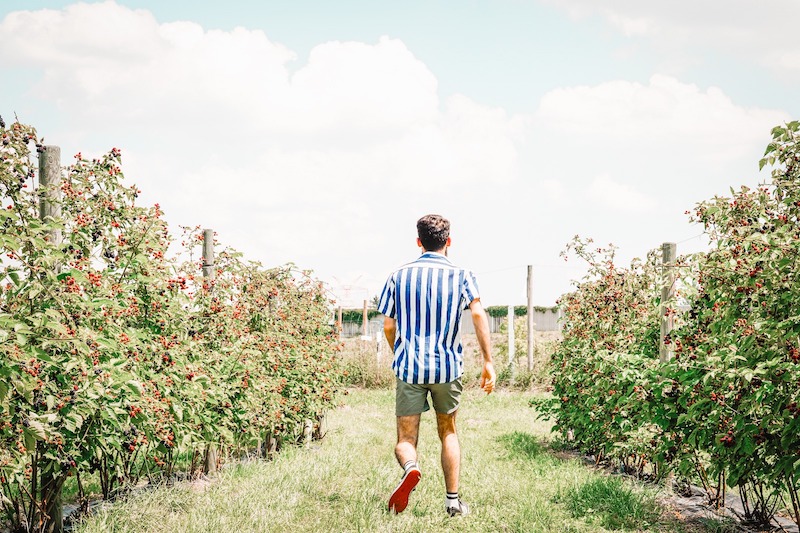 Erasmus Stajı için Hibe