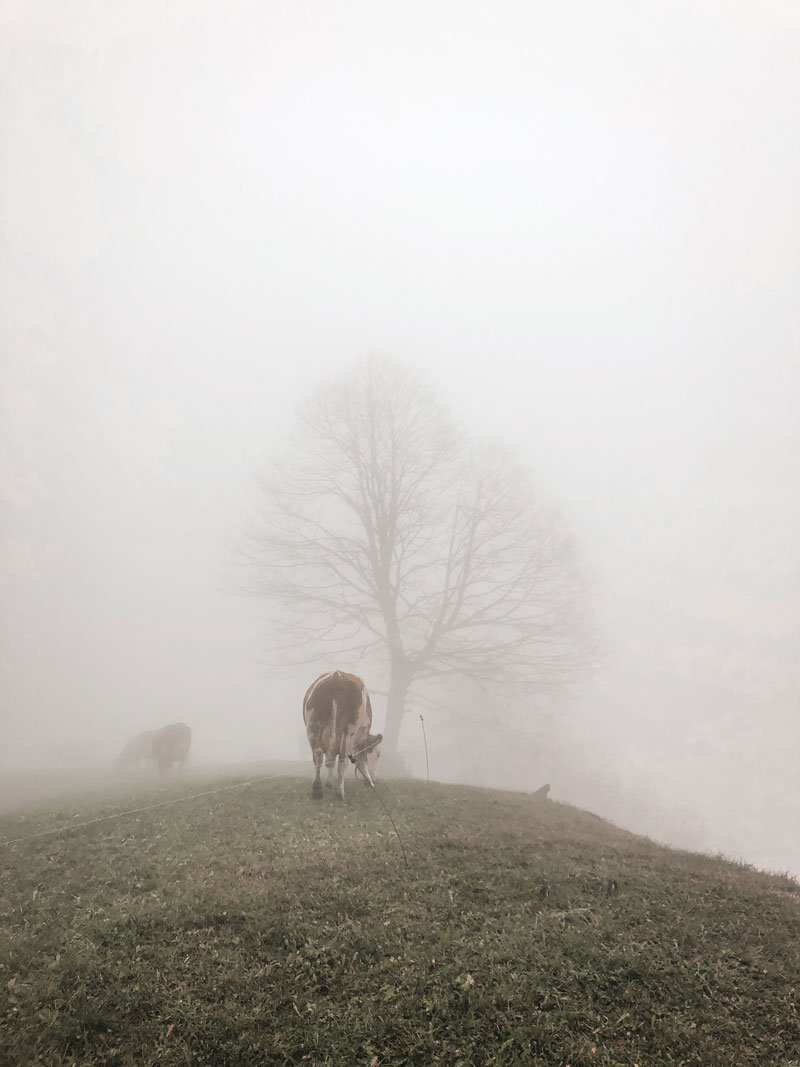 Almanya'da yaşam ve çalışma