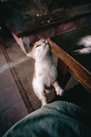 Bozcaada'nın en güzel şarap mekanları