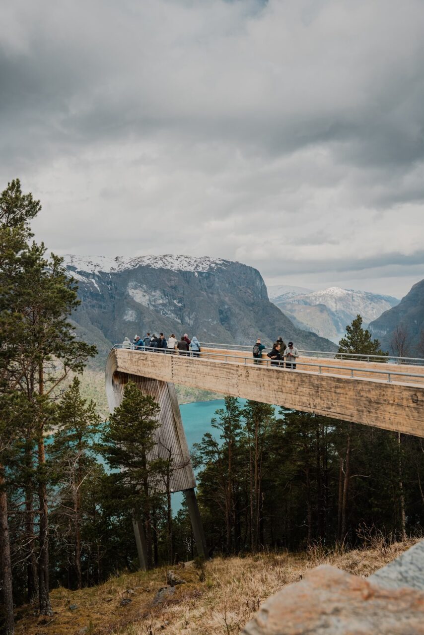 Norveç fiyort gezisi