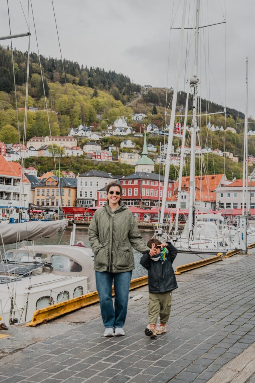 Norveç fiyortları nasıl gezilir